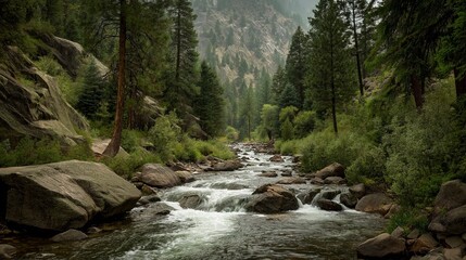 清らかな水と滝が織り成す渓谷の自然、森林に囲まれたマイナスイオンたっぷりの景色、癒しの風景として最適な写真素材