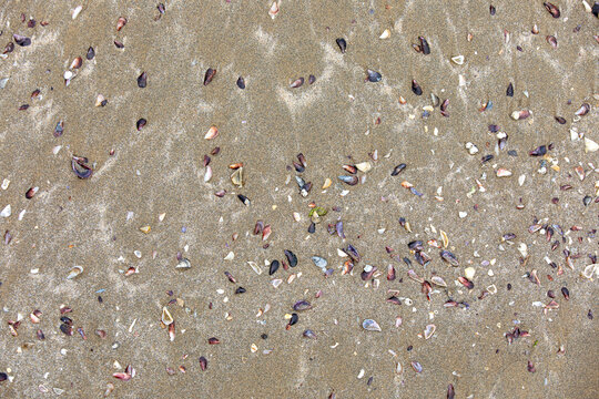vibrant summer beach atmosphere, aerial view of lively beach with sunbathers and colorful towels