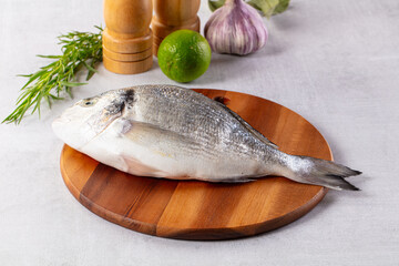 Raw fresh uncooked dorada fish