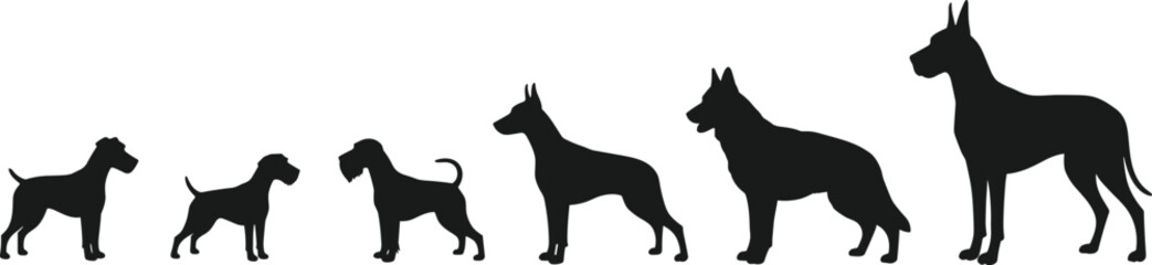 Different dog breeds standing in order of size, black silhouette animal collection, domestic pet illustration, animal lineup concept, cad drawing flat vector illustration