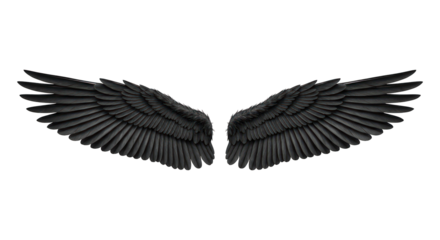 Two symmetrical spread black wings against a stark black background