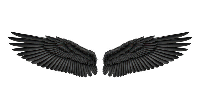 Two symmetrical spread black wings against a stark black background - Powered by Adobe