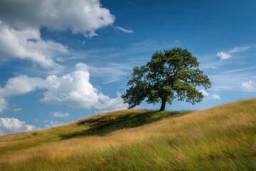 Obraz premium Majestic Oak Tree on a Hill Under a Bright Blue Sky in a Lush Meadow