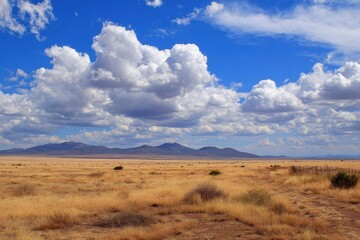 Fototapeta premium Vibrant Landscape: Scenic Summer Desert in the Enchanting Southwest of New Mexico, USA