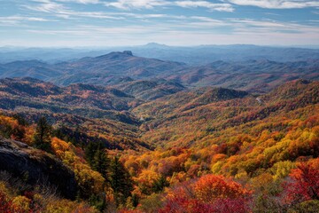 Obraz premium Vibrant Autumn Hues Along Blue Ridge Parkway: A Scenic Leafy Landscape in North Carolina's Pisgah Mountains