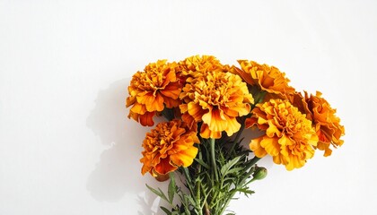 Marigold Bouquet on white background.