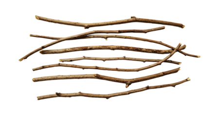 Group of natural dry twigs or sticks isolated on white background, perfect for crafts and decoration