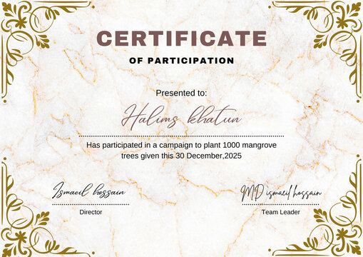 White Modern Marble Texture Certificate of Participation - 1