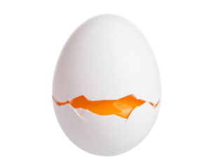 Single Duck Egg Isolated on White Background