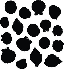 Vector sea shells group collection black silhouette illustration