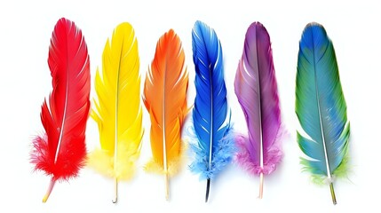 Vibrant rainbow colored feathers arranged in row on white background, soft and detailed plumage texture suitable for decorative designs and creative projects.