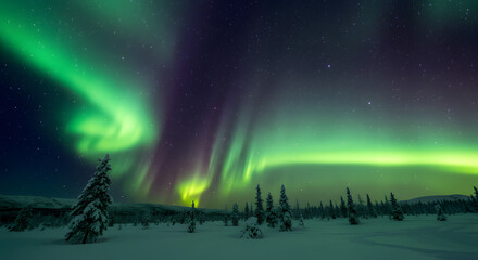 オーロラが舞う幻想的な夜空