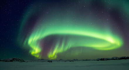星降る雪原に広がる光のカーテン