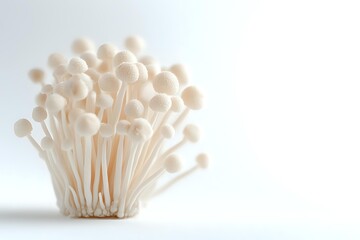 Fresh white enoki mushrooms cluster on light background, minimalist food photography composition with soft natural lighting and clean aesthetic.
