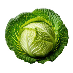 Cabbage isolated on white and transparent background.
