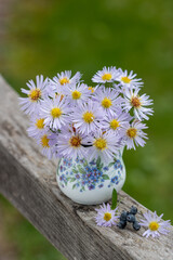 Blumenstrauß mit lila Schönastern (Kalimeris incisa) in einer kleinen Vase im Garten © Natalia Greeske
