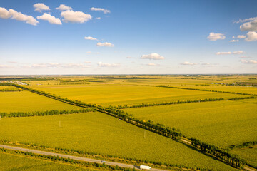 Autumn Harvest Golden Farmland Aerial Photography in Nenjiang City, Heilongjiang Province
