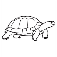  Turtle Line Art. Minimalist Black and White Reptile Illustration