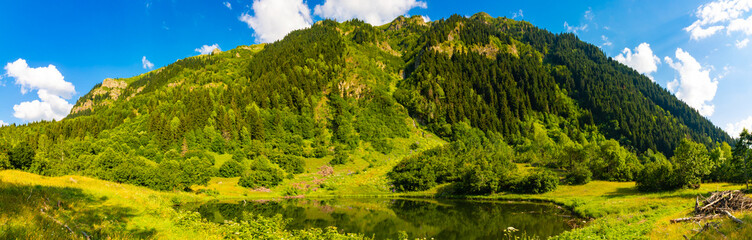 Panoramic view of forest covered mountain and a lake.