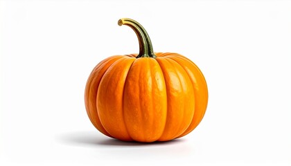 Orange Pumpkin on White Background HD
