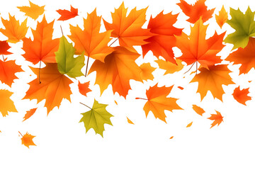 autumn leaves background - Scattered Autumn Maple Leaves – Dynamic Arrangement of Red, Orange, Yellow, and Green Leaves on White Background Representing Seasonal Change and Natural Beauty