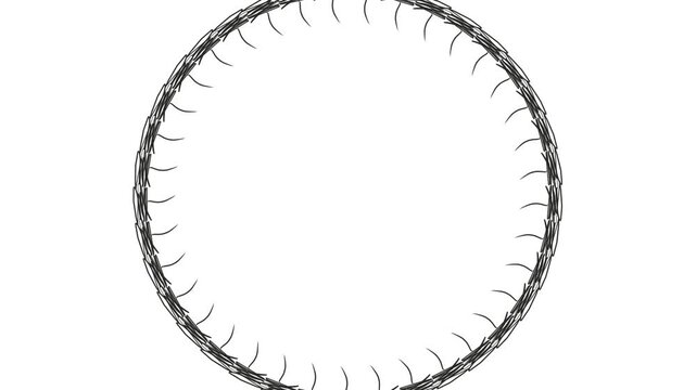 Animation of a circular frame with thin hair inside.