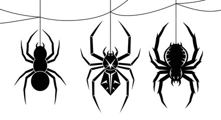 Three silhouettes of spiders hanging from thin strands of web against white isolated on white background