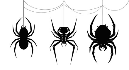 Three spooky silhouetted spiders hanging suspended on threads against a white canvas creating a frightening halloween atmosphere isolated on white background