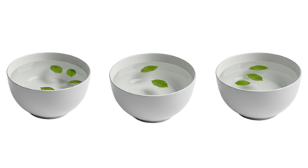 Three white ceramic bowls filled with water and floating green leaves isolated on black background, perfect for spa or relaxation themes