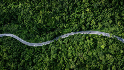 Road rainforest ecosystem and healthy environment concept , Road in the middle of the forest Concept of using electric cars to protect the environment and transportation