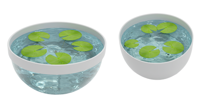 Two modern transparent bowls filled with water and floating green lily pads, isolated on white background, perfect for botanical or nature themes
