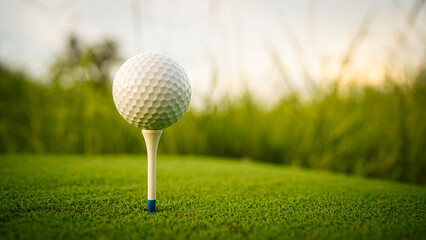 Golf ball on green grass in the evening golf course with sunshine background.
