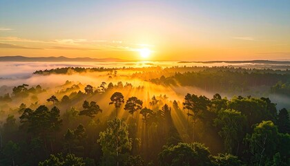 Sunrise Over Dense Forest Canopy With Golden Rays Piercing Through Foggy Mist Distant City Skyline Visible Under Warm Hues Sky