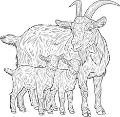 Goat Family Black and White Engraving. Hand-Drawn Mother Goat with Two Young Kids. Farm Animal Vintage Sketch Illustration.