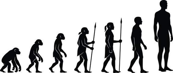 Evolution of man concept showing human development stages from ape to modern intelligent human silhouette, anthropology scientific history illustration vector.