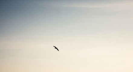 A lone bird soaring gracefully through a vast, serene sky at dusk, with soft gradients of blue and orange painting the horizon, evoking a sense of freedom and tranquility