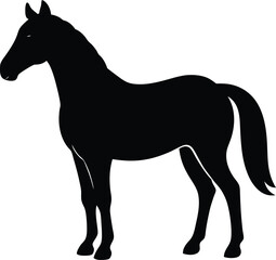 Horse Silhouette Vector Art Illustration