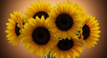 Obraz premium Vibrant sunflowers in full bloom with warm lighting and detailed texture