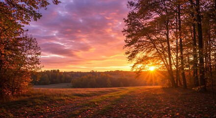 Vibrant sunset over forest landscape with colorful sky and trees silhouette