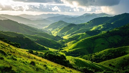 Fototapeta premium Rolling Green Hills Bathed in Golden Sunlight With Dramatic Clouds Overhead