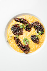 Gourmet saffron risotto served with roasted morel mushrooms and microgreens on a white plate. Elegant fine dining presentation, ideal for upscale culinary themes.