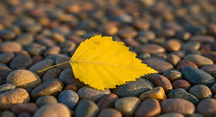 Vibrant yellow leaf resting on a bed of multicolored smooth stones