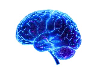 Unlock human potential with stunning brain illustration for science, technology, and medical innovation ads