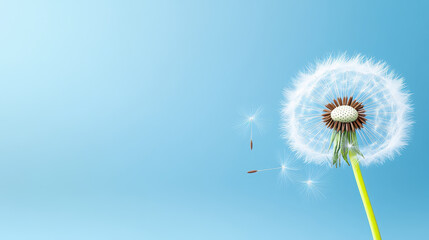 Obraz premium Dandelion seed head with white fluffy seeds blowing in gentle breeze against clear blue sky, evoking calm and peaceful feelings