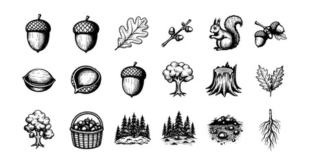 Hand drawn autumn nature elements with squirrel, acorns, and trees in black and white