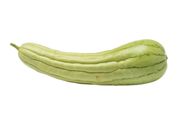 A single, pale green loofah, slightly curved, isolated on a transparent background. background removed
