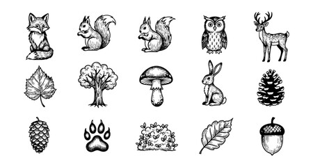Obraz premium Hand drawn woodland animals and nature elements in black and white ink art style