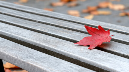 Close up of red leaf on wooden bench evokes sense of tranquility and simplicity