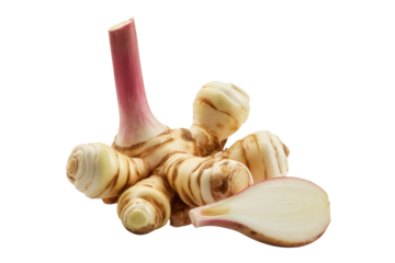 Fresh galangal rhizome with pink stem, isolated on transparent background.  A close-up image showing the texture and detail of this aromatic root. background removed