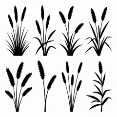 Create a minimalist, stylized vector illustration of eight distinct black silhouettes of wild grasses and reeds arranged in two rows of four, set against a stark white background. 